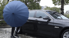 Load image into Gallery viewer, 16-bone fresh series waterproof umbrella with its cover