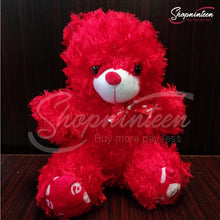 Load image into Gallery viewer, Cute Red Teddy Bear