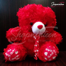 Load image into Gallery viewer, Cute Red Teddy Bear