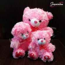 Load image into Gallery viewer, Cute Pink Teddy