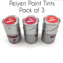 Load image into Gallery viewer, Amazing Peiyen Paint Tints Pack of 3