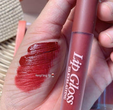 Load image into Gallery viewer, Hengfang Lipgloss Set