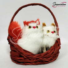Load image into Gallery viewer, Beautiful Talking Cats