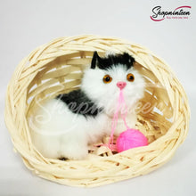 Load image into Gallery viewer, Beautiful Talking Cats