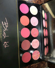 Load image into Gallery viewer, Romantic 10 Color Blusher kit