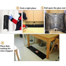 Load image into Gallery viewer, Heavy Sticky Indoor Mouse Trap pad