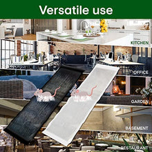 Load image into Gallery viewer, Heavy Sticky Indoor Mouse Trap pad